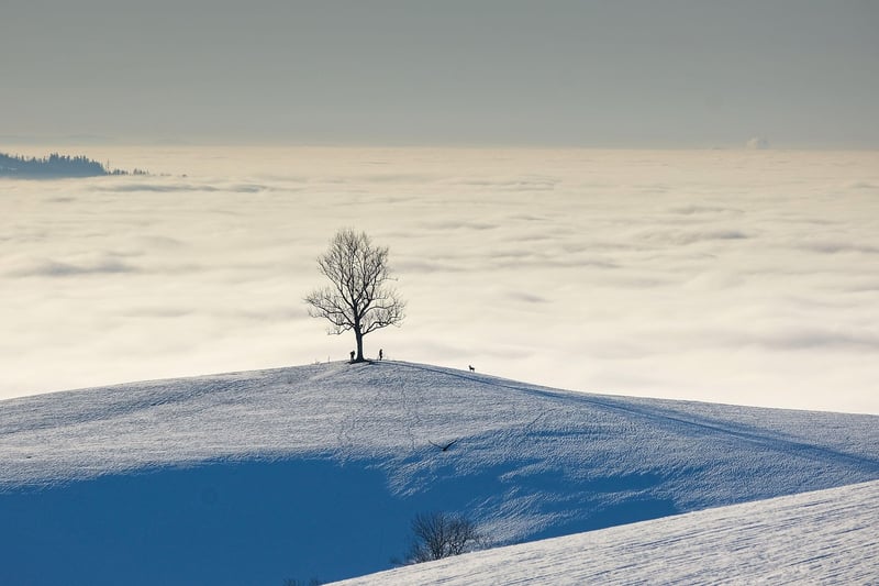 Hidden Gem Landscape
