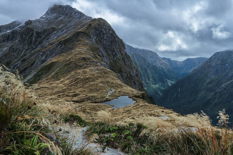 New Zealand Landscape
